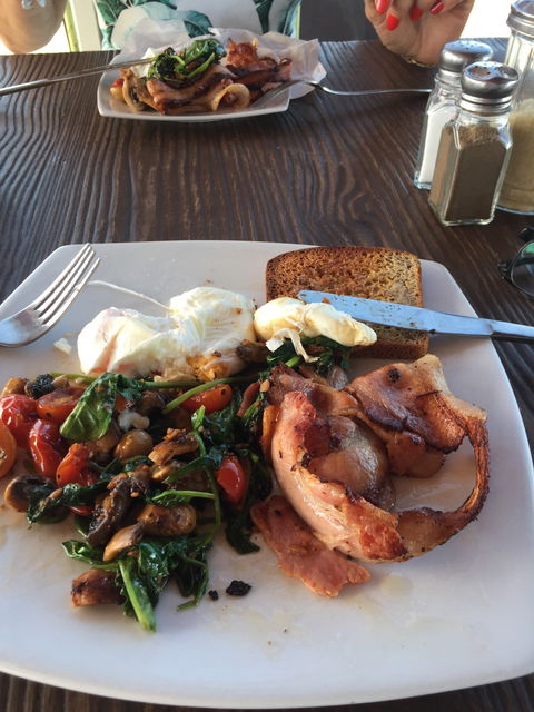 Ellie's Cafe - Hobart Tourism 4