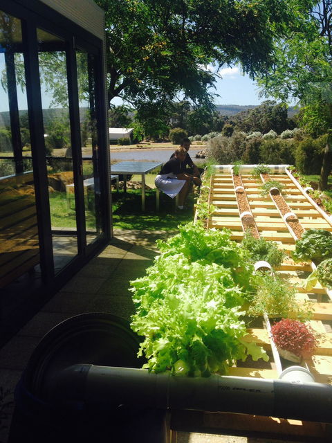 Petra Olive Oil Shed Door Tasting Room & Farm Shop - Hobart Tourism 2