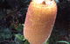 Bluff Knoll Cafe - thumb 8