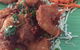Aroy Thai - thumb 5