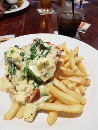 South Aussie Hotel - Hobart Tourism 0