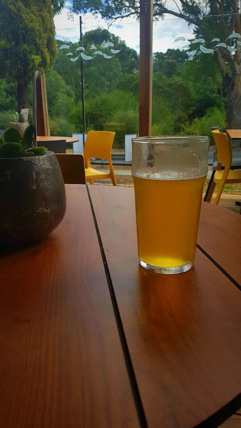 The Duck Inn - Hobart Tourism 2