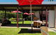 Balhannah Hotel - thumb 1