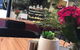 Black Bird Coffee House - thumb 0