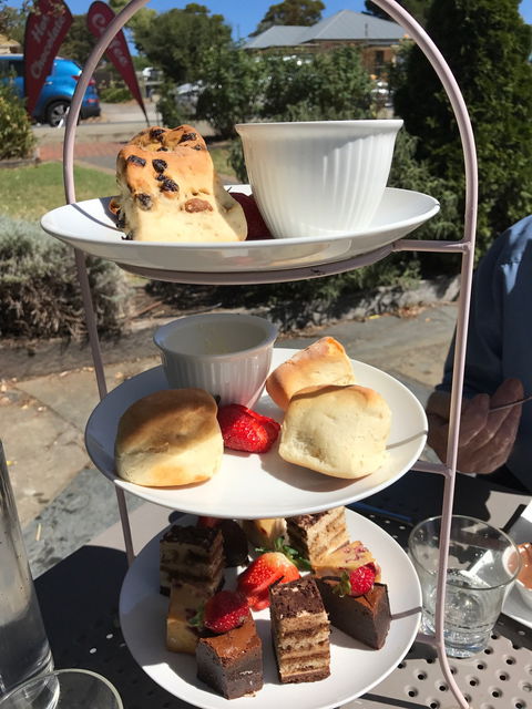 Bracegirdles - Hobart Tourism 5
