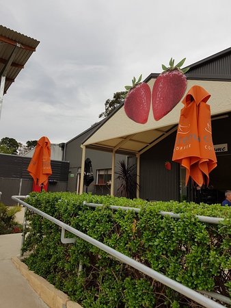 Green Valley Strawberries - Hobart Tourism 0