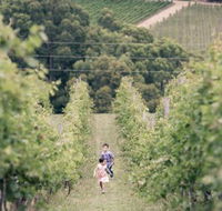 Greenhill Wines - Hobart Tourism