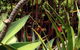 Soul Vine Cafe - thumb 5