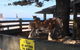 The Causeway Cafe - thumb 1
