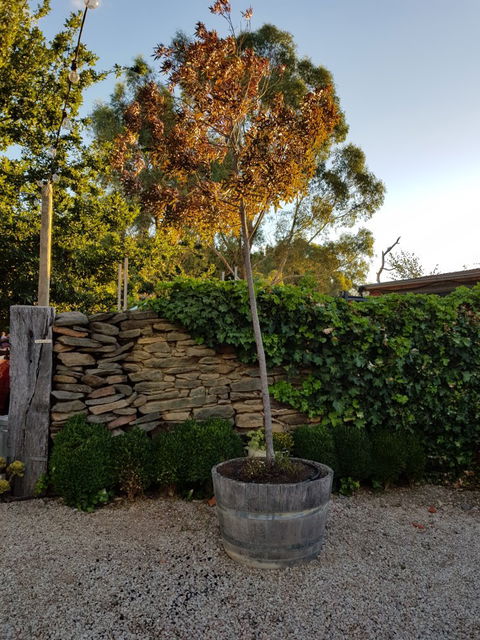 Barristers Block Cellar Door - Hobart Tourism 2