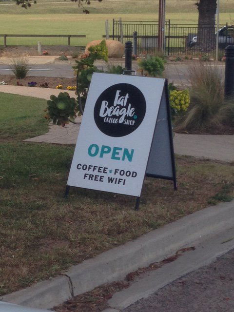 Fat Beagle Coffee Shop - Tourism TAS 3