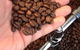 Fleurieu Roast - thumb 1