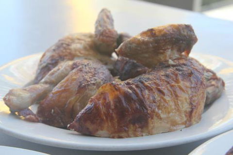 Chickery Chick - Hobart Tourism 0