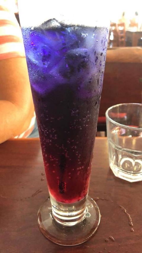 Hog's Breath Cafe - Hobart Tourism 4