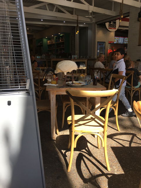 Latitude 28 Restaurant And Bar - Hobart Tourism 1