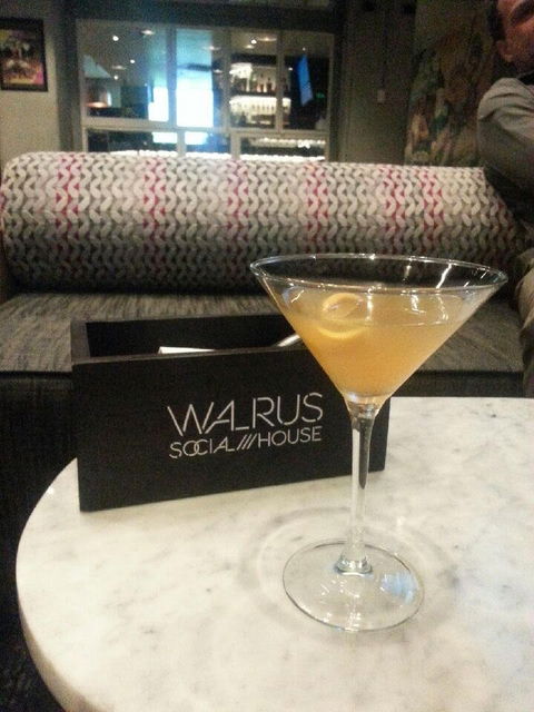 Walrus Social House - Hobart Tourism 4
