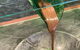 Harvest Buffet - thumb 4