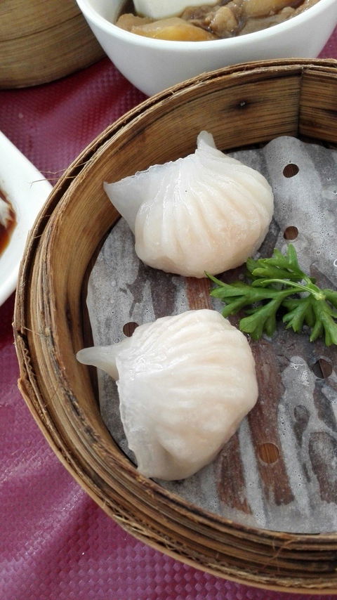 Focus Chinese Restaurant - Hobart Tourism 4