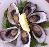 Noosa Yacht and Rowing Club - Hobart Tourism