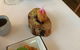 Wasabi Restaurant & Bar - thumb 2