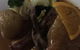The French Table - thumb 3