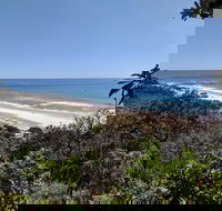 2Dlite - Hobart Tourism