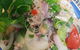 CB Thai Cuisine - thumb 5