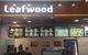 Leafwood - thumb 0