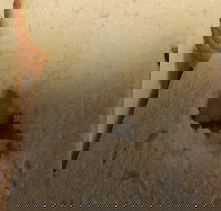 Sugarloaf Baking Co - Hobart Tourism