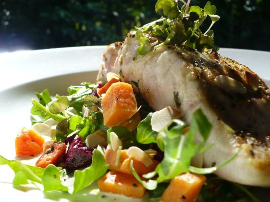 Cape Tribulation QLD Tourism TAS