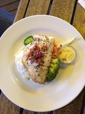 Normanton QLD Tourism TAS