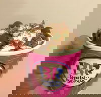Baskin Robbins Toowoomba - Hobart Tourism