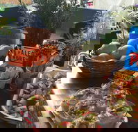 Island fruit Barn - Hobart Tourism