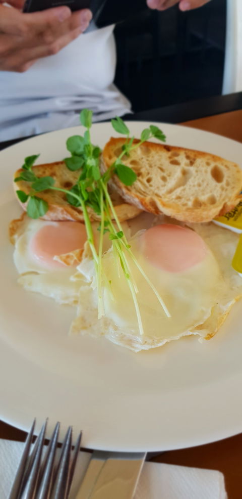 Migaloo's Cafe - Hobart Tourism 1