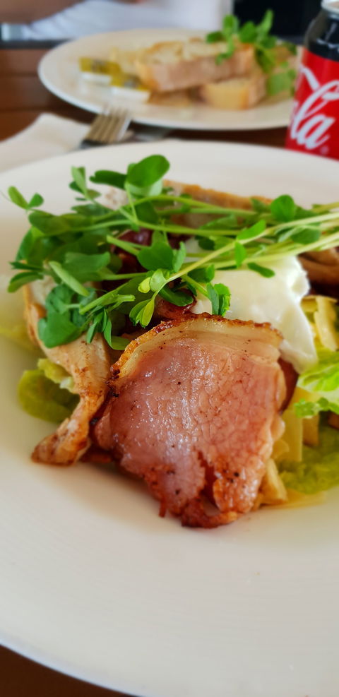 Migaloo's Cafe - Hobart Tourism 6