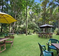 Rainforest - Hobart Tourism