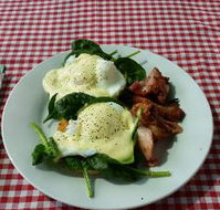 The Shed Cafe - Hobart Tourism