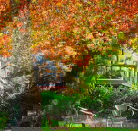 The Woods Ravensbourne - Hobart Tourism