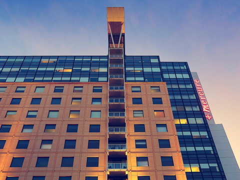 Mercure Sydney - Tourism TAS 1