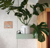 ACE Hotel Sydney - Hobart Tourism