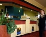 Bell Tower Inn - Hobart Tourism 1
