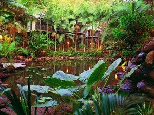 Daintree Eco Lodge & Spa - Hobart Tourism 0