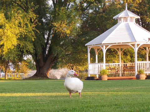 Parklands Resort & Conference Ctr - Hobart Tourism 1