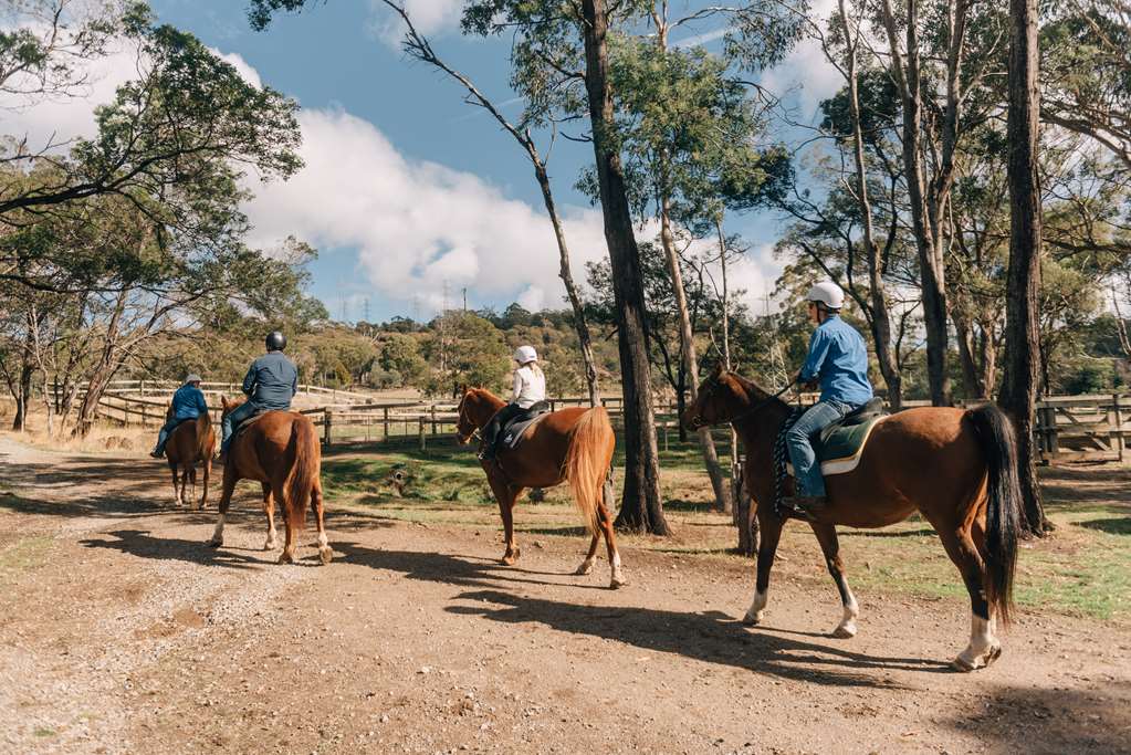 Launceston TAS Hobart Tourism