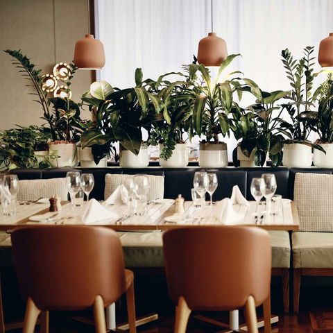 Amora Hotel Jamison Sydney - Hobart Tourism 12