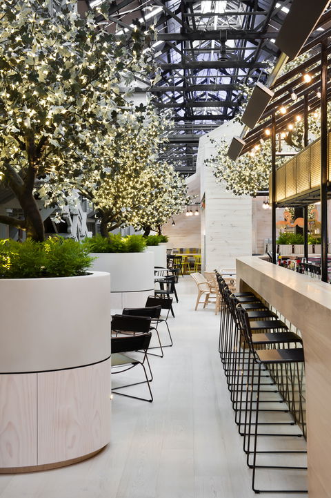 Ovolo Woolloomooloo - Hobart Tourism 0