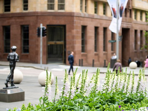 Mercure Sydney Martin Place - Tourism TAS 14