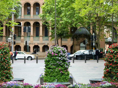 Mercure Sydney Martin Place - Tourism TAS 16
