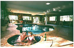 Chalet Swisse Spa - Tourism TAS 2