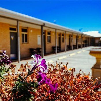MAS Country Club Motor Inn - Tourism TAS 1